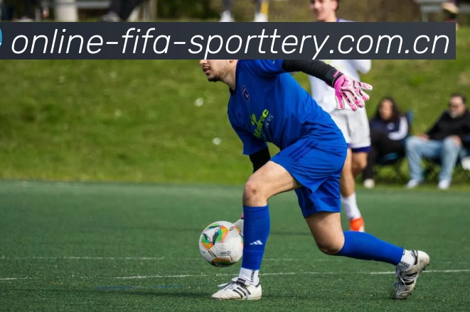 FIFA官方认证